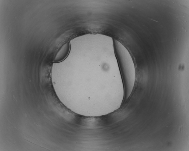 X0000112140237200909041047