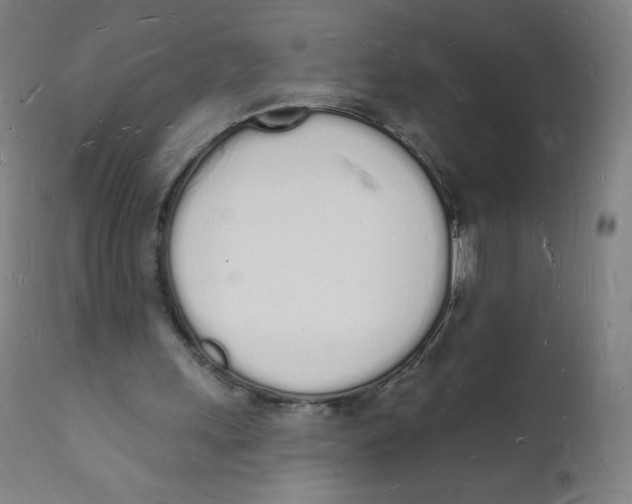 X0000112140243200909041046