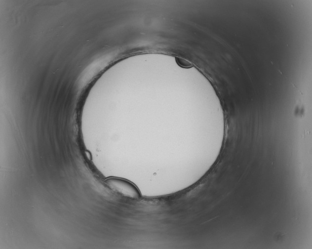 X0000112140245200909041046