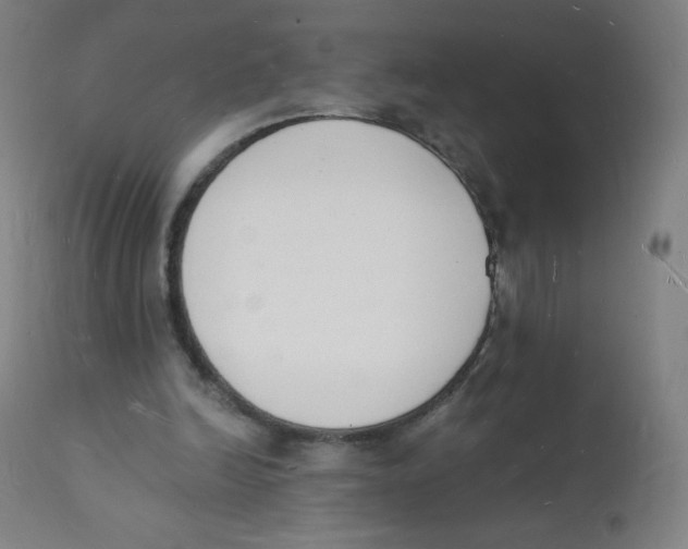 X0000112140246200909041046