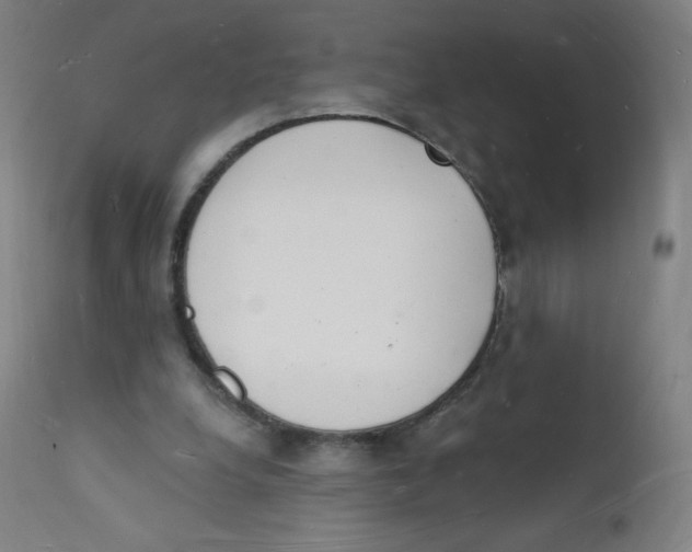 X0000112140248200909041046