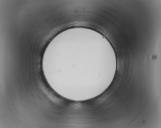 X0000112140253200909041046