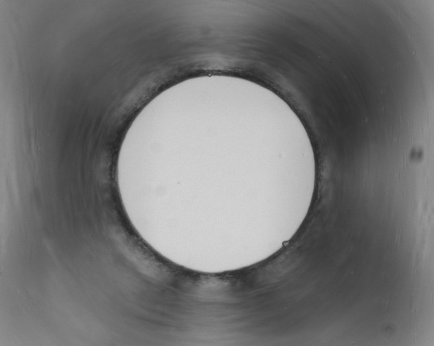 X0000112140257200909041046