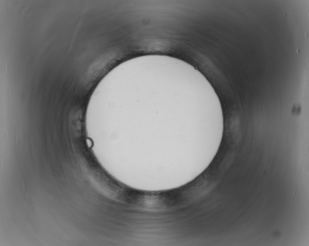 X0000112140264200909041046