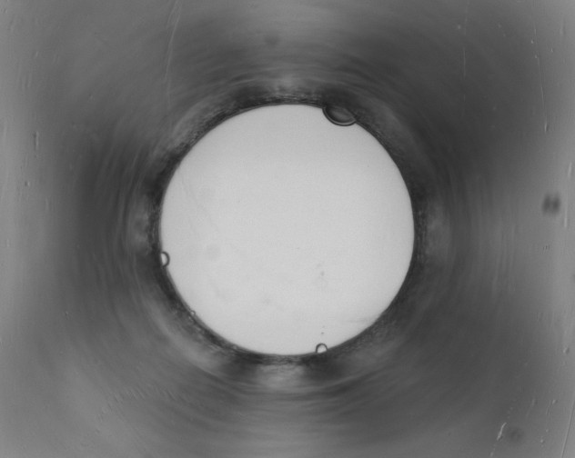 X0000112140266200909041046