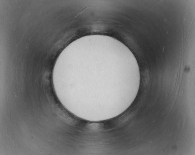 X0000112140269200909041046