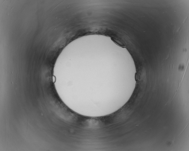 X0000112140272200909041046