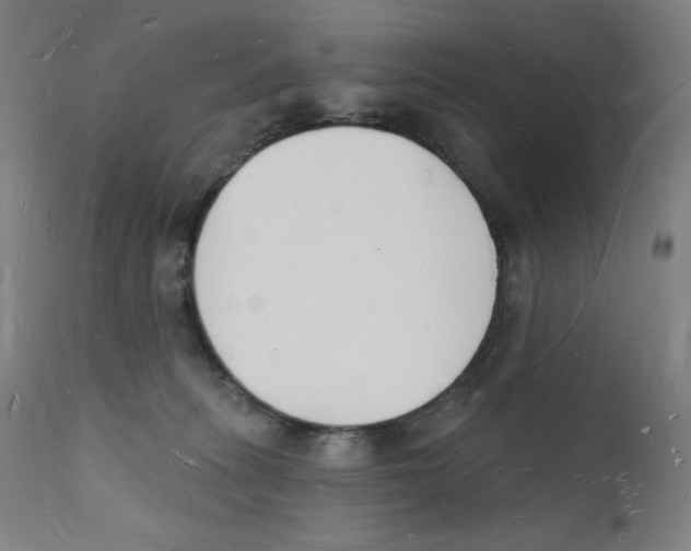 X0000112140275200909041046