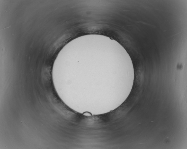 X0000112140278200909041046