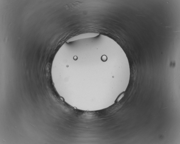 X0000112140280200909041046