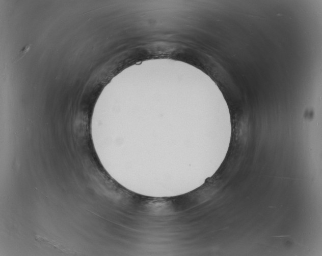 X0000112140283200909041047