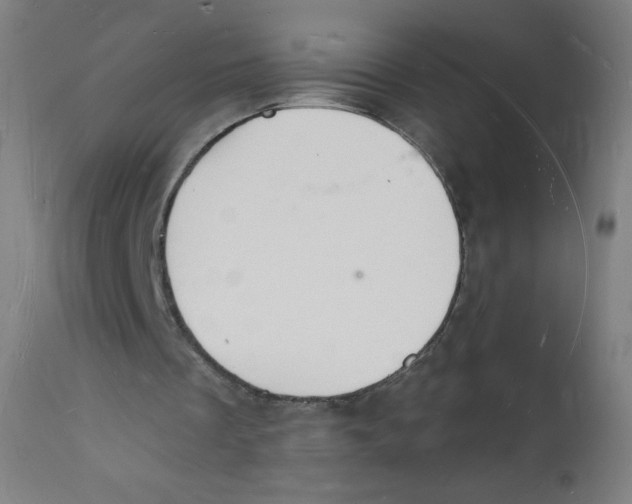 X0000112140289200909041046