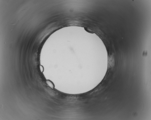 X0000112140291200909041046