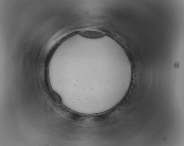 X0000112140295200909041046