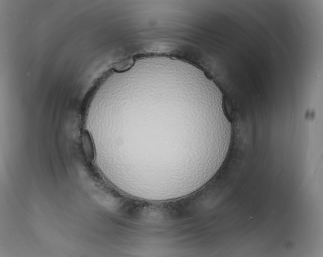 X0000112140300200909041046