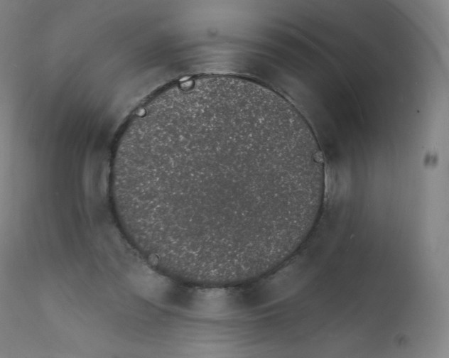 X0000112140301200909041046