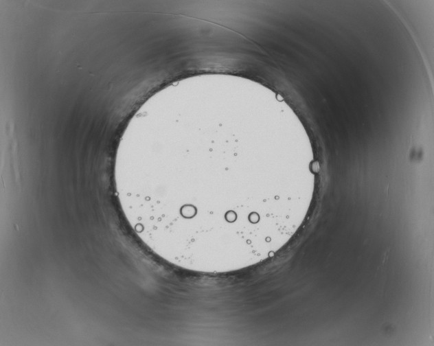 X0000112140305200909041046