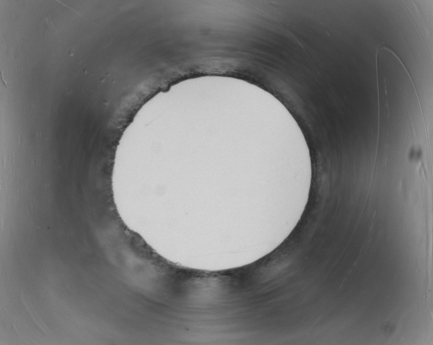 X0000112140307200909041046