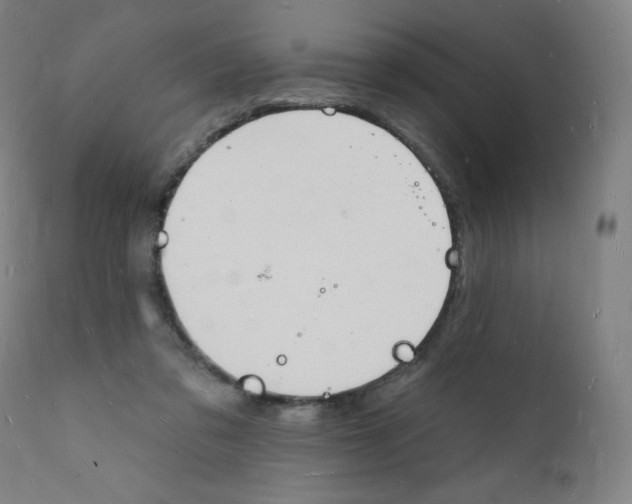 X0000112140309200909041045