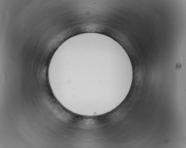 X0000112140310200909041045