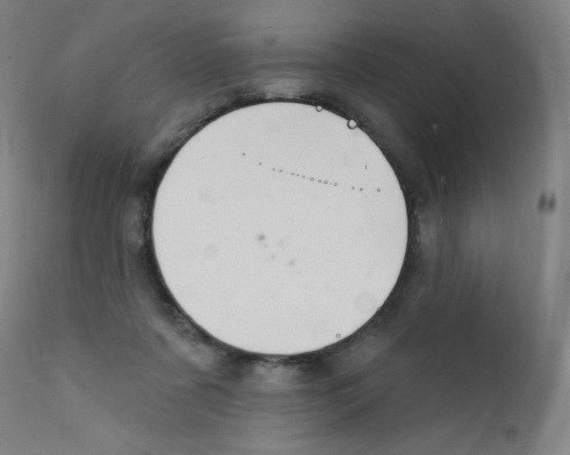 X0000112140311200909041045