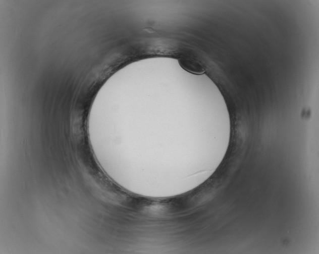 X0000112140312200909041045