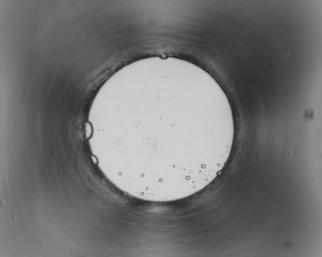 X0000112140313200909041045