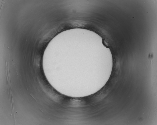 X0000112140315200909041045