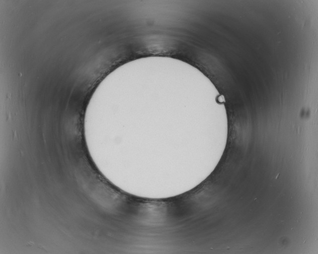 X0000112140317200909041045