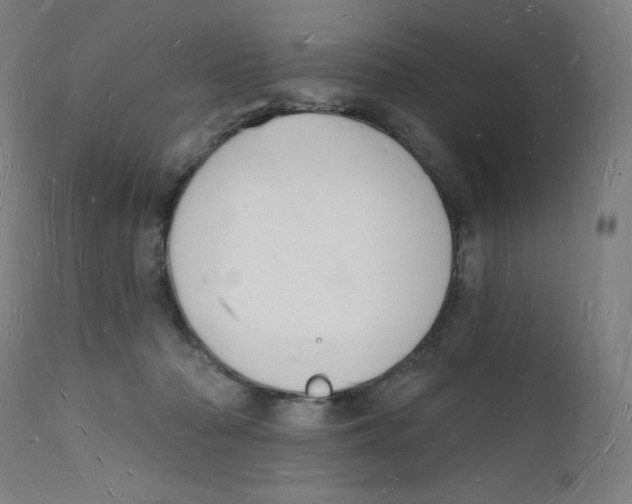 X0000112140318200909041045