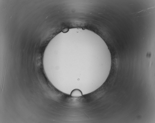 X0000112140323200909041045