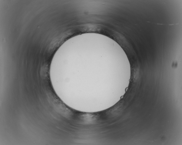 X0000112140326200909041045