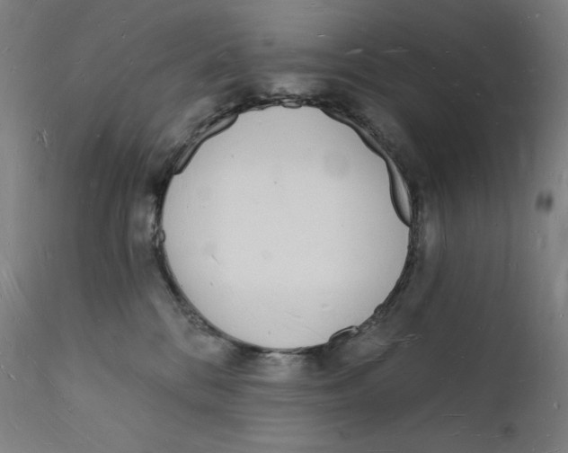 X0000112140328200909041045