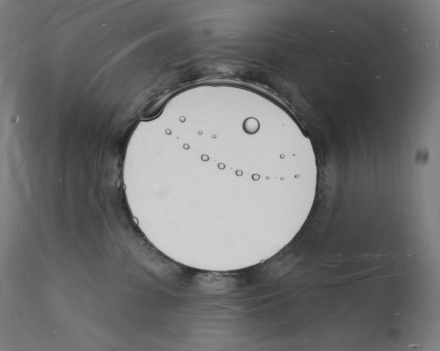 X0000112140331200909041045