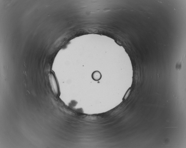 X0000112140332200909041045