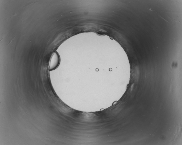 X0000112140333200909041045