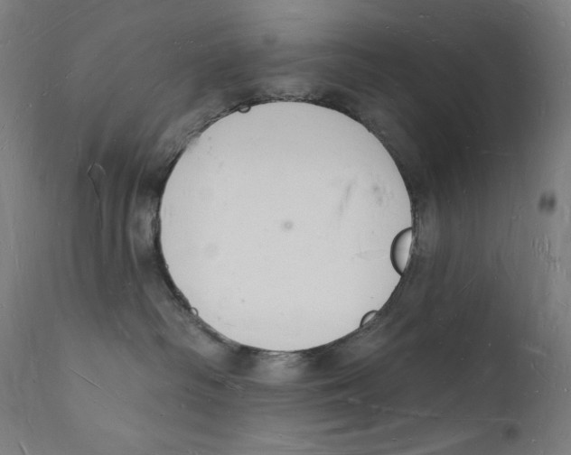 X0000112140334200909041045