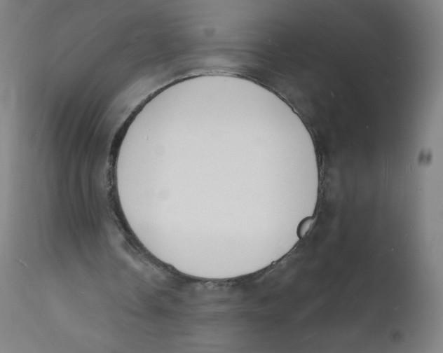 X0000112140338200909041044