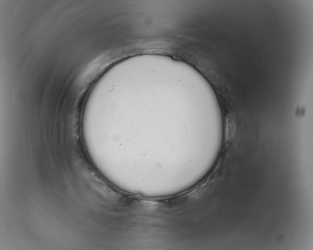 X0000112140339200909041044