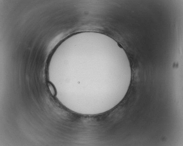 X0000112140340200909041045