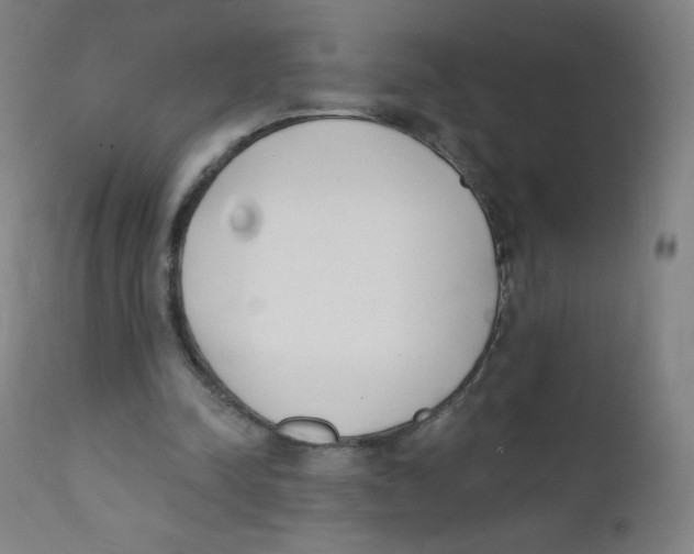 X0000112140342200909041045