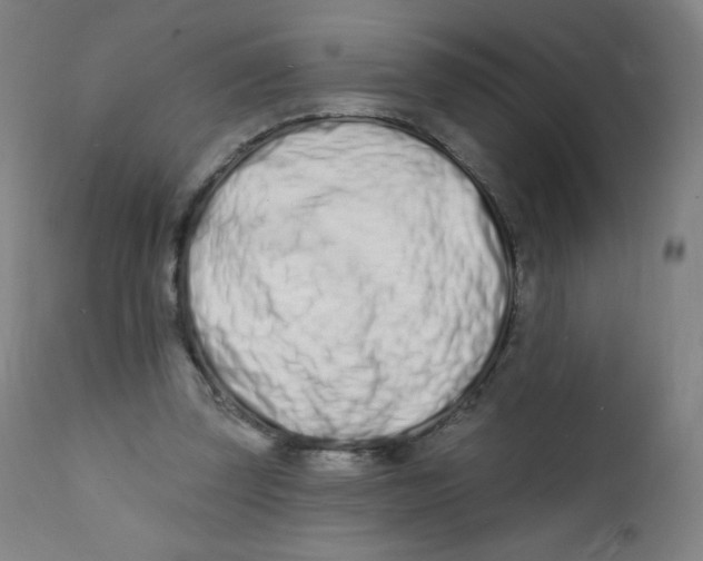 X0000112140347200909041045