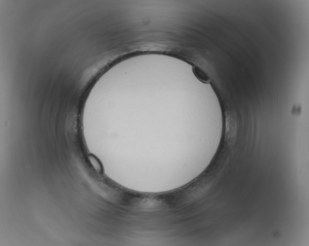 X0000112140348200909041045