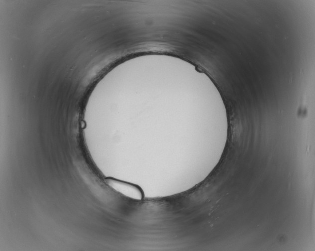 X0000112140350200909041045