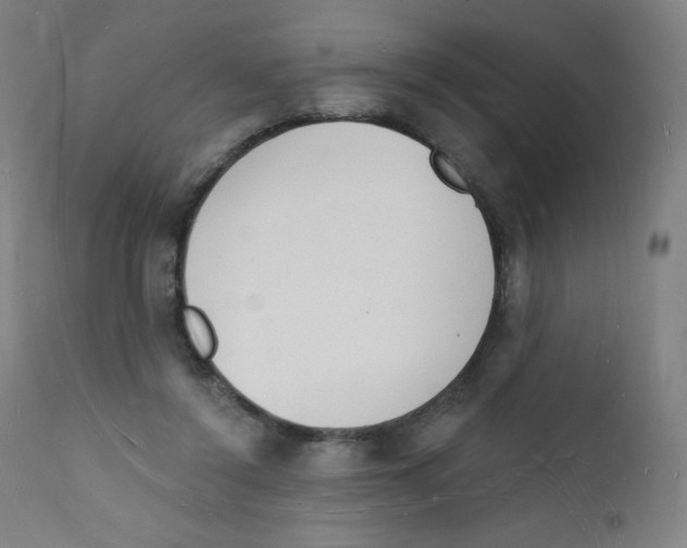 X0000112140356200909041045