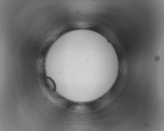 X0000112140360200909041045