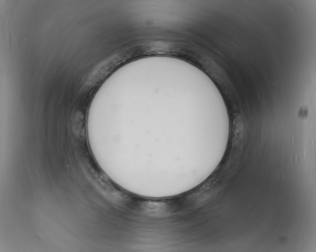 X0000112140361200909041045