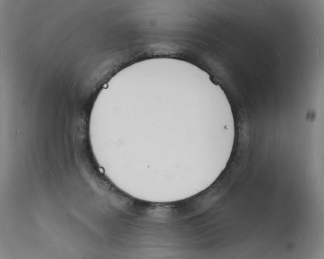 X0000112140362200909041045