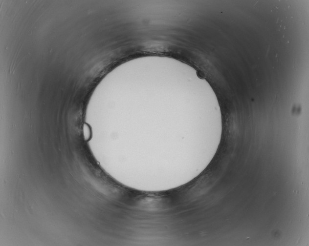 X0000112140364200909041045