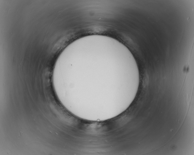 X0000112140366200909041045